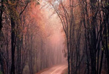 上场 ｜ 吴艳妮世锦赛打破全国纪录，击碎运动员不能打扮伪命题.