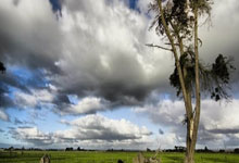 雷速体育官网:六台:卢宁比目鱼肌撕裂,在评估打封闭出战瓦伦的可能性.