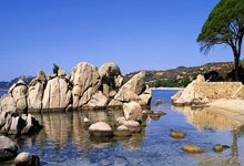 [国际球]互送乌龙 日本战平澳大利亚.